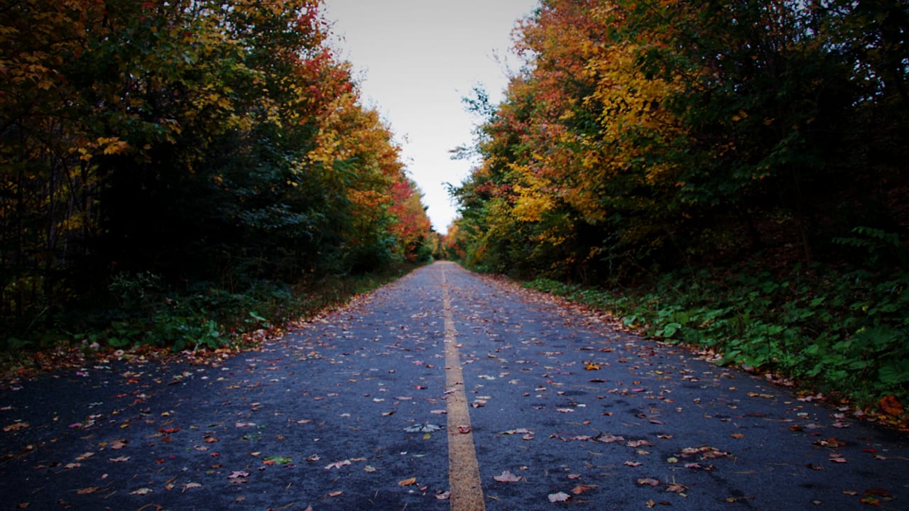Fall Car Maintenance Checklist: Get Your Car Ready Before New England Winter — Iron Wolf Motors, Worcester, MA