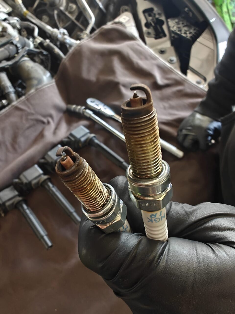 Two used NGK iridium spark plugs from an Alfa Romeo Giulia 2.0 turbo held in a gloved hand, with dark deposits on the firing ends and discoloured threads