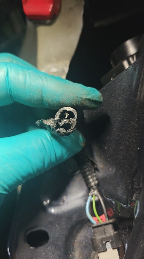 Close-up of the chewed end of a Tesla Model Y wiring harness, the loom and insulation gnawed through
