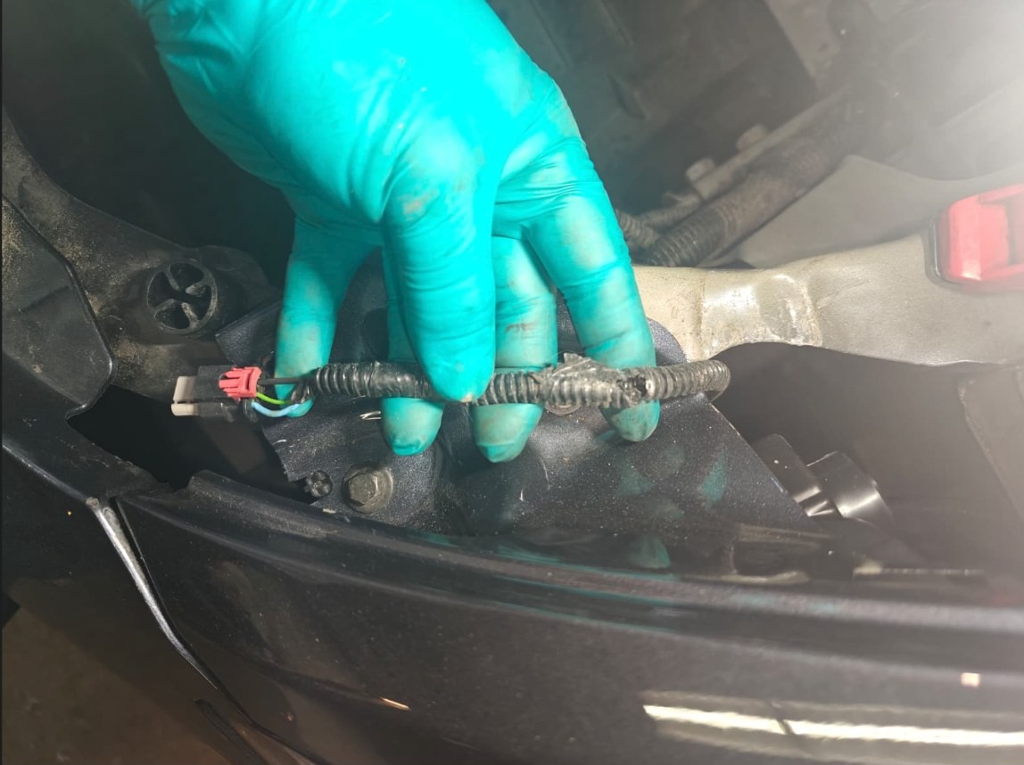 Gloved hand holding a wiring harness behind the front bumper cover of a 2023 Tesla Model Y, the protective loom and insulation chewed through by mice